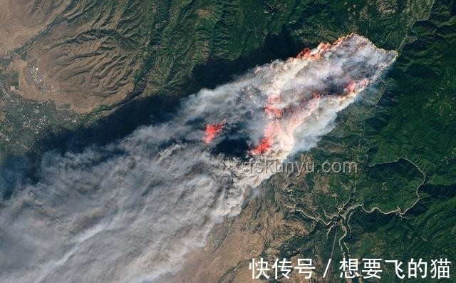 人类直立行走极端小概率事件探析
